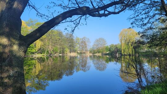 Niech władze zagospodarują ten piękny zakątek [list, zdjęcia]