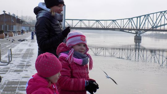 Niedzielny rekonesans