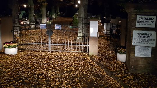 Niektórzy wybrali inną opcję