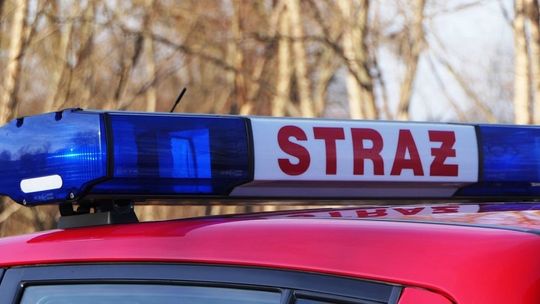 Niemądre zachowania ludzi nasilają się. Strażacy ostrzegają przed karami