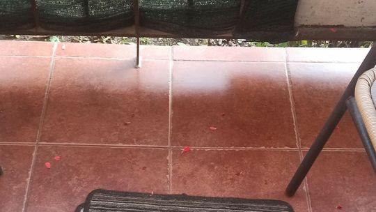 Nieporozumienia ze spółdzielnią niczym w serialu ,,Alternatywy 4"