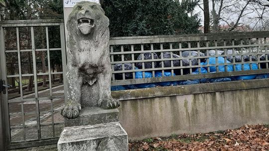 Nieporządki w Gryfinie rażą mieszkańców