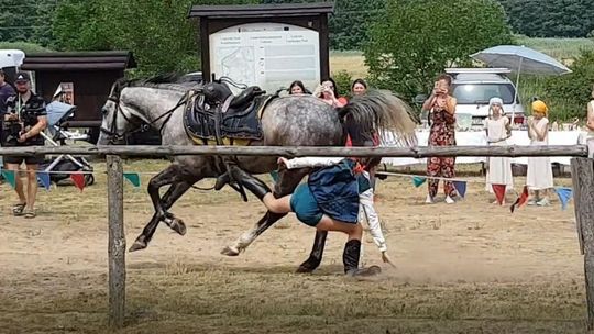 Nieszczęśliwie spadła z konia podczas akrobacji [FOTO, WIDEO]