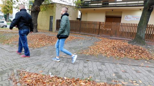 Nikt tutaj od dawna nie sprząta liści ani śmieci! - narzekają mieszkańcy