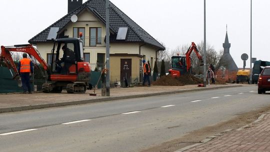 Niszczą drzewa i chodniki?! - dzwonią zbulwersowani mieszkańcy