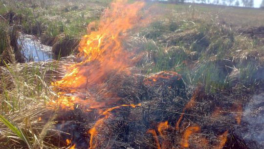 Niszczą miejsca bytowania wielu zwierząt - mówi Maciej Lipka