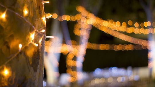 Nowy świąteczny wystrój – siatki świetlne LED