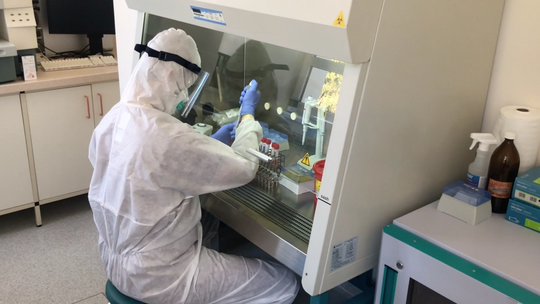 Nowy weekendowy raport resortu zdrowia