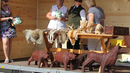 O dziczyźnie na pograniczu