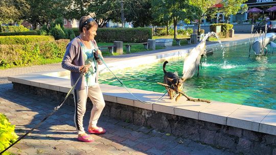 O psie, który lubi się kąpać