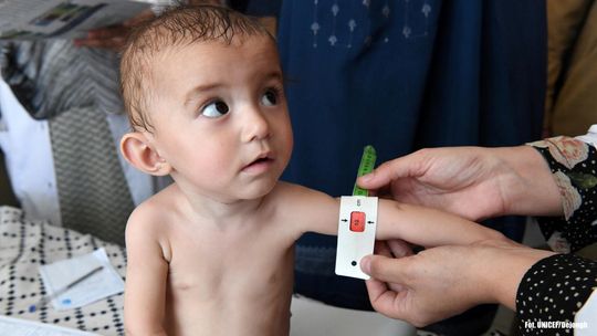 Obalamy 10 mitów dotyczących niedożywienia Obalamy 10 mitów dotyczących niedożywienia