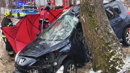Oblodzona droga stała się śmiertelną pułapką. Samochód uderzył w drzewo, nie żyje kobieta