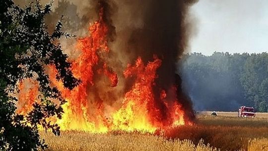 Od pożaru do pożaru