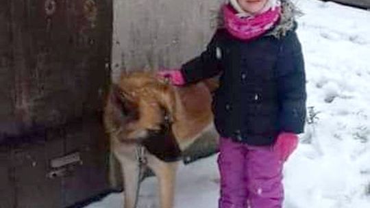 Oddaj mi mojego pieska, proszę