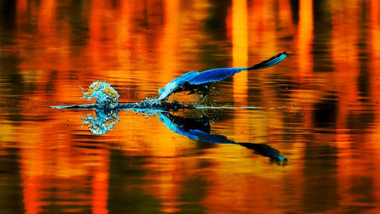Odkrywa w sobie kolejne zainteresowania przyrodnicze