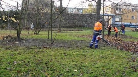 Odkurzyć można także w ogrodzie