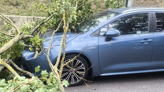 Odłamany konar spadł na samochód