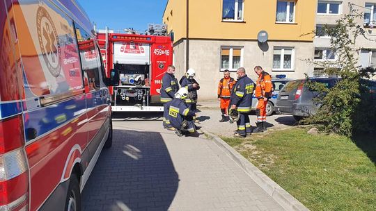 Odnaleziono zwłoki w mieszkaniu