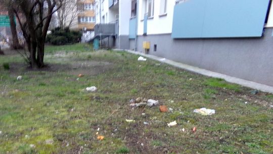 Odpadki wyrzucają przez okno na trawnik, zamiast do śmietnika