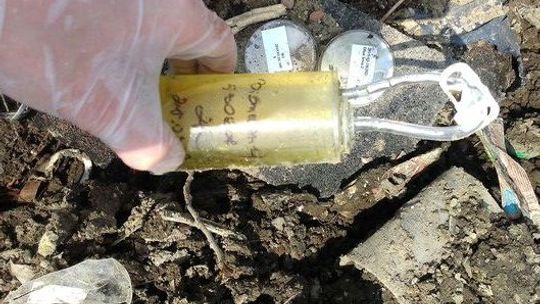 Odpady zagrażające zdrowiu i życiu w Cedyńskim Parku Krajobrazowym