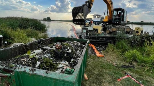 Odra cuchnie padliną