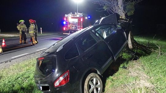 Odurzona wjechała prosto w drzewo. Policjanci nie mieli wątpliwosci.