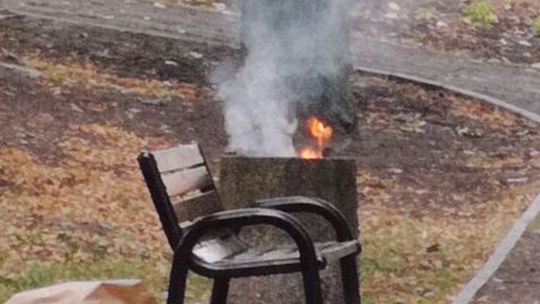 Ogień w parku Ogień w parku