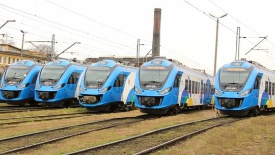 Ogłosili przetarg na hybrydy