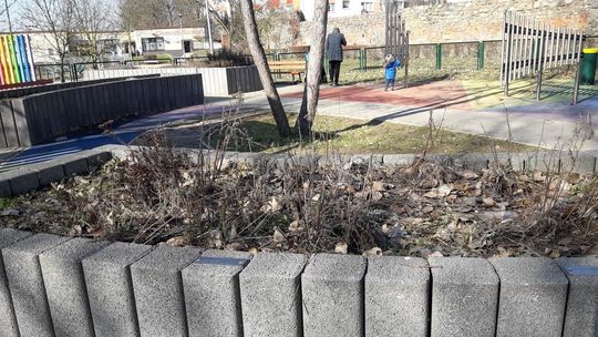 Ogród sensoryczny w opłakanym stanie