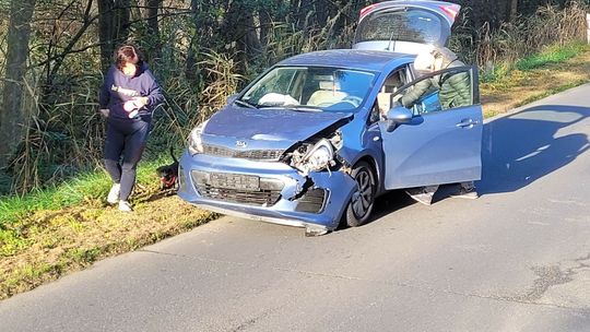 Ogromy dzik wpadł prosto pod koła. Kierowcy, uważajcie na zwierzęta!