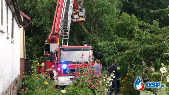 Olbrzymie drzewo runęłoby na dom, gdyby nie strażacy