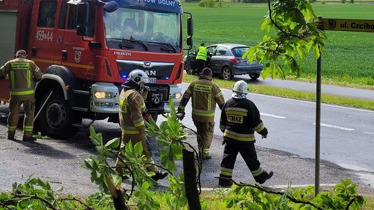 Omijał powalone drzewo. Zderzył się z innym autem [ZDJĘCIA]