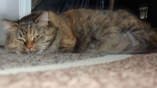 Ona im ufa, a oni mordują jej dzieci