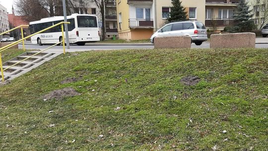 One wyszły z wiosną. A on pojawia się w nocy One wyszły z wiosną. A on pojawia się w nocy