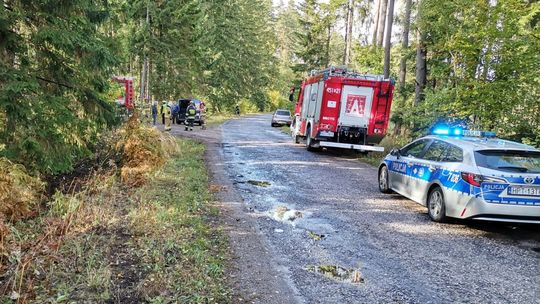 Opady przystopują pożary? Dużo wyjazdów do powalonych drzew