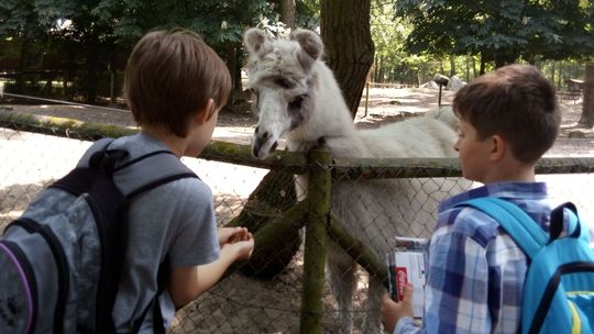 Opiszą swoje wrażenia ze spotkania z nowymi zwierzętami