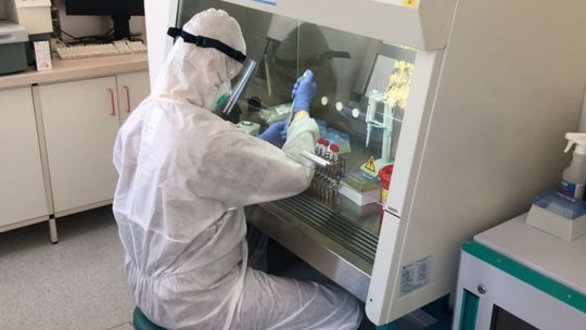 Ostatnie zakażenia i zgony