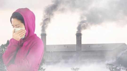 Oszustwo na... Czyste Powietrze. Naciągacze zastawiają pułapki