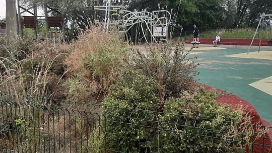 Oto jak marnowana jest energia Międzyodrza