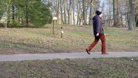 Oznaki wiosny już widoczne