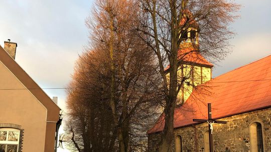 Pałamane gałęzie lecą na dachy Pałamane gałęzie lecą na dachy