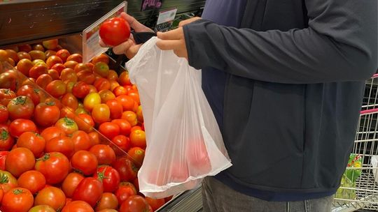 Opłaty za foliowe reklamówki przynoszą duże zyski. Kara dla nieuczciwych firm