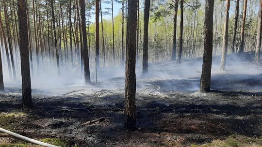 Papieros śmiertelnym zagrożeniem. Najwyższy stopień zagrożenia pożarowego