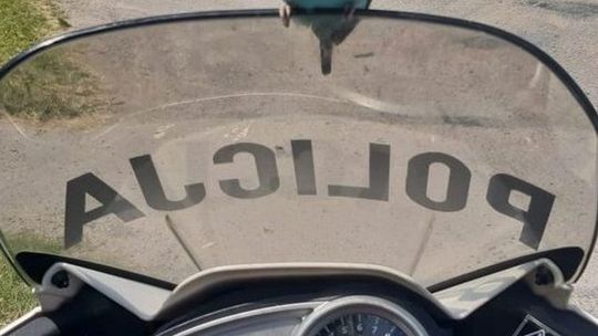 Papuga wpadła prosto w ręce policji