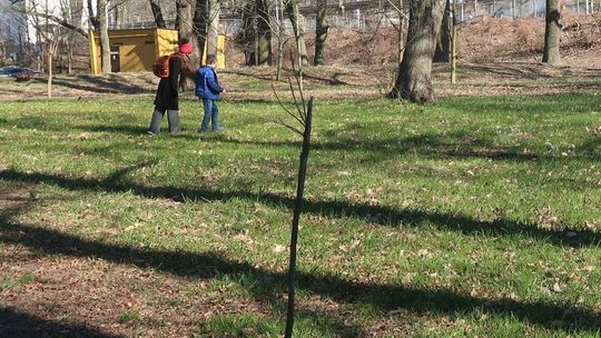 Park nie tylko w krokusach