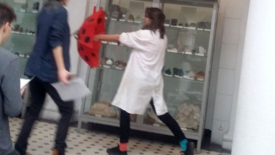 Paskudy mają oczyścić i bawić Paskudy mają oczyścić i bawić