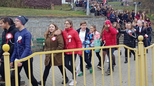 Patriotyczny przemarsz bez obstawy policji ze względu na „psią grypę”?