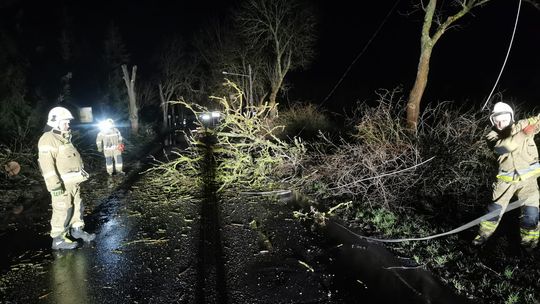 Pechowa "13" związana jest z wichurą Pechowa "13" związana jest z wichurą
