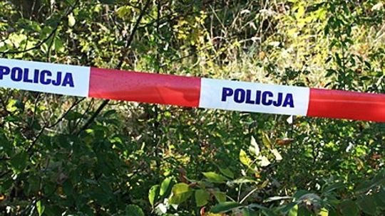 Pedofil zaatakował dziecko w parku