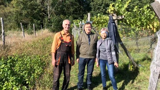 Pierwsza winnica w tej gminie Pierwsza winnica w tej gminie